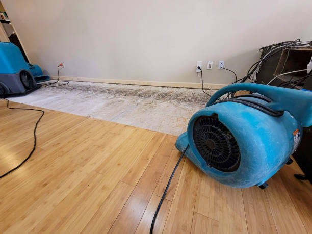 Professional Sewage Cleanup technician working in Arcadia, CA